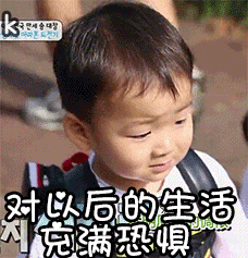 星界龙纹章削弱，星界龙法阵容搭配