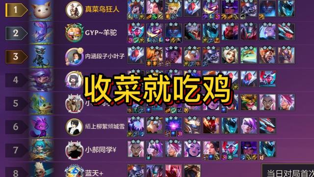 金铲铲之战萌新适合玩什么阵容，金铲铲之战魔盗团后期阵容